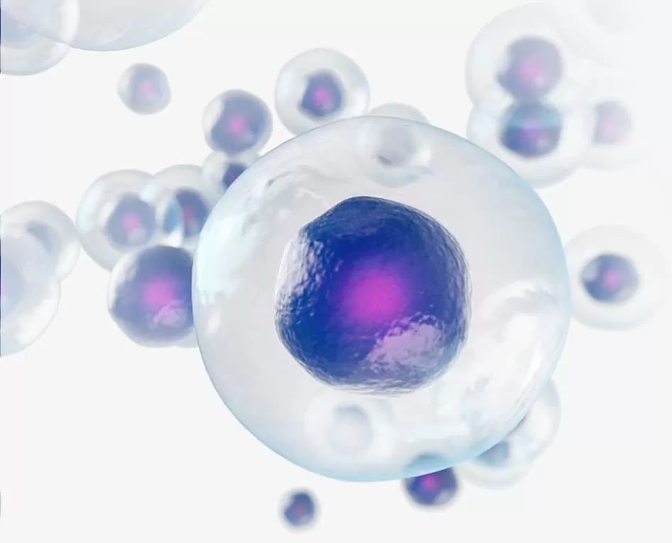 Hangzhou NeuroPeptide Biological Science and Technology Incorporation, Ltd.